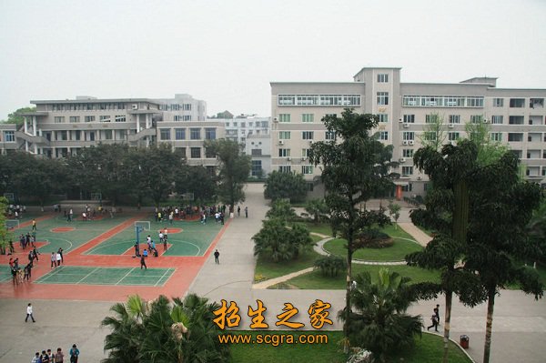 学校环境