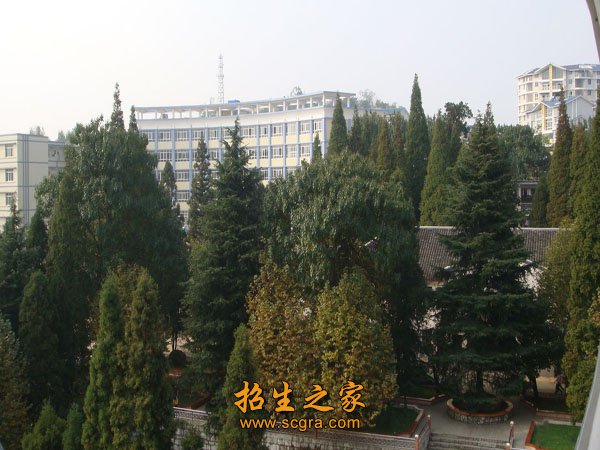 学校风景