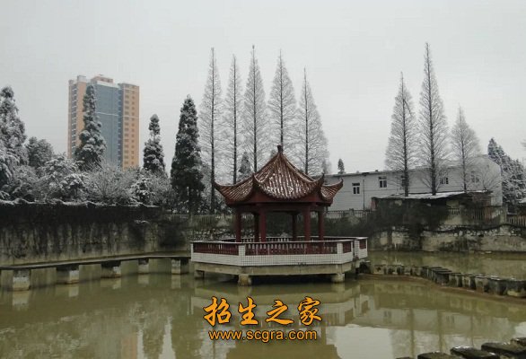 校园雪景