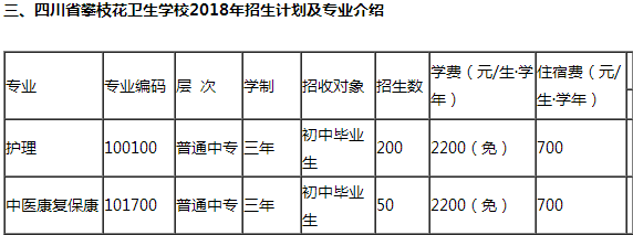 四川省攀枝花卫生校